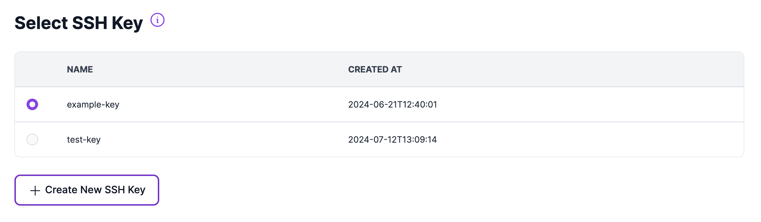 SSH Key UI